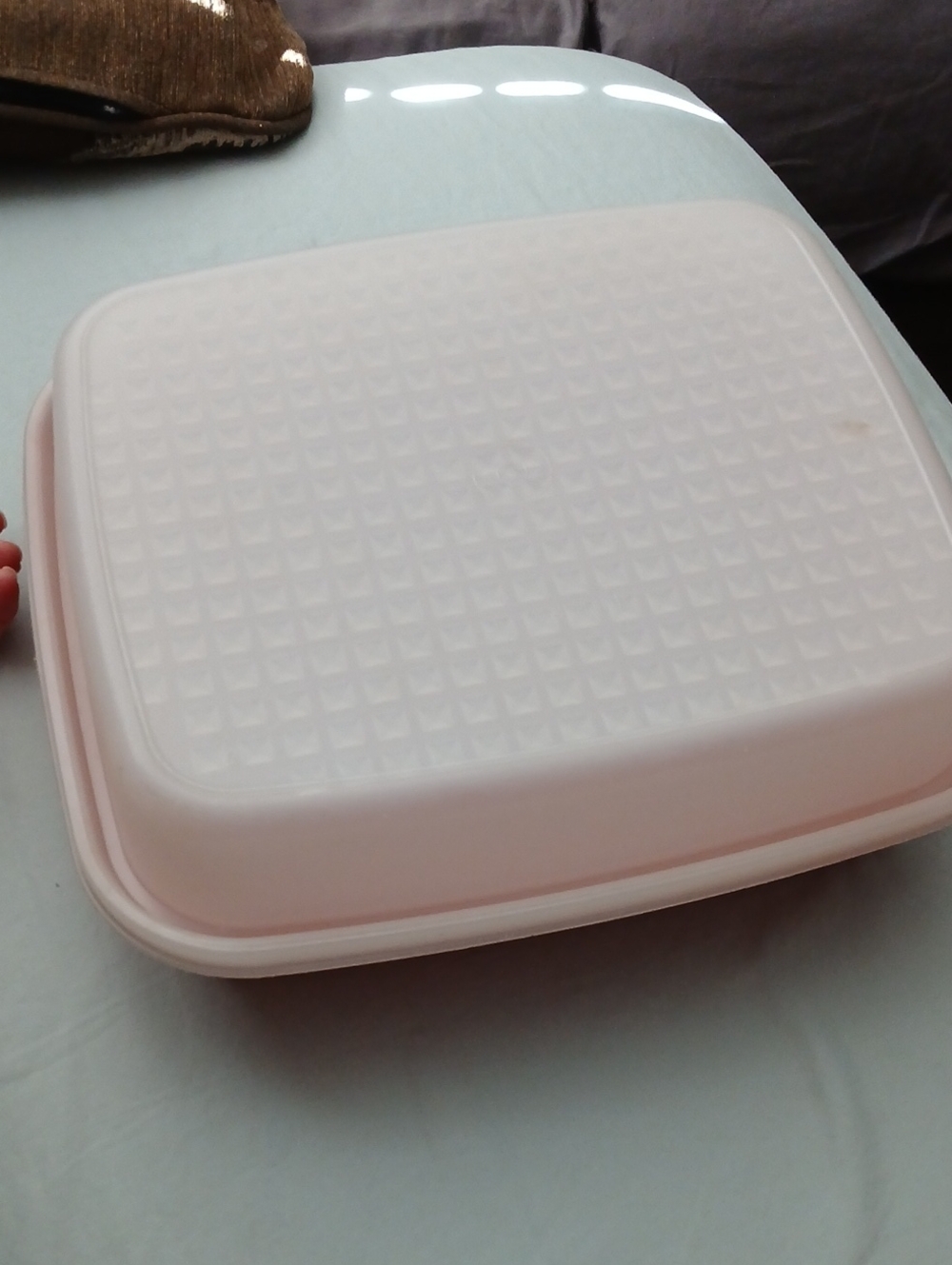Vintage Tupperware Season- Serve Marinating Container